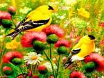 Желтые птички на цветах