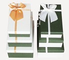 Коробка подарочная "Сюрприз" 19х12х6.5, зеленый/белый