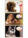 Альбом для рисования 12л А5 Sweet pets на скобе 12А5В 051883