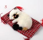 Маленький спящий котенок на коврике M02
