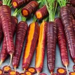 Морковь Перпл хейс (фиолетовая) 0,5г (25202). Семена