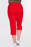 Женские брюки 5321-31 (красный)