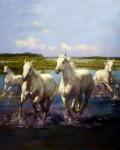 Белые лошади бегут по реке