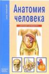 Афонькин Сергей Юрьевич Анатомия человека. Школьный путеводитель