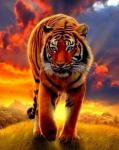 Грозный тигр на фоне солнца
