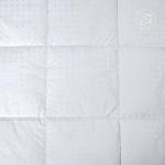Одеяло "Премиум" лебяжий пух, всесезонное                             (arp-200589-gr)