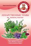 Анастасия Колпакова: Лекарственные травы на вашем участке