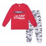 Пижама джемпер+брюки для мальчиков 'Мечтатель' р.28-36