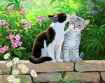 Два котёнка на кирпичном заборе в цветочках