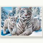 Картина арт. 20556 Два белых тигра рис.по № (30x20) в кор.