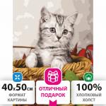 Картина по номерам 40х50 см, ОСТРОВ СОКРОВИЩ "Котенок", на подрамнике, акрил, кисти, 662468