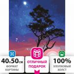 Картина по номерам 40х50 см, ОСТРОВ СОКРОВИЩ "Звездная ночь", на подрамнике, акрил, кисти, 662495