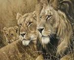 Вся семья львов в сухой траве