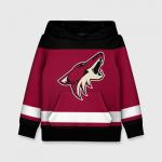 Детская толстовка 3D "Arizona Coyotes"