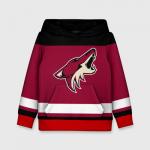 Детская толстовка 3D "Arizona Coyotes"