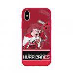 Чехол для iPhone X матовый "Carolina Hurricanes"