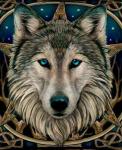 Голубоглазый волк на обереге