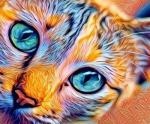 - Выразительные глаза радужной кошечки