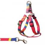 Triol. Комплект шлейка и поводок нейлоновый "Абстракция" S 11491026 АГ