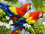 Картина по номерам Пара попугаев 38 х 28,5 см