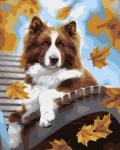 Картина по номерам Осенний пёс 40 х 50 см