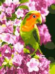 Картина по номерам Весенний попугайчик 38 х 28,5 см