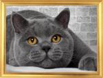 Большой серый кот на фоне кирпичной стены