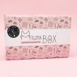 MilotaBox "Fox Box"
