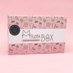 MilotaBox "Travel Box"