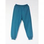 Брюки трикотажные БИРЮЗА