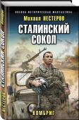 Сталинский сокол. Комбриг