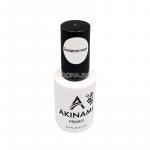 Akinami  Primer acid-free