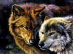 Большие волк и волчица в ночном лесу