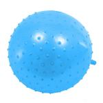 Детский массажный гимнастический мяч, синий Bradex DE 0540