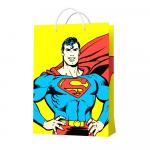 Superman. Пакет подарочный малый-2, 180*223*100 мм (286217)