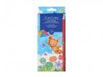 Карандаши цветные FUNCOLOR (пластиковые), 12 цв. 4 вида 30-0060