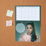Постер "Ariana Grande. Расписание"