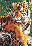 Картина по номерам Тигр на камне 28,5 х 20 см