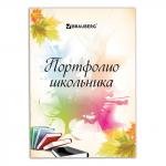 Листы-вкладыши для портфолио ШКОЛЬНИКА, 30 разделов, 32 листа, "Моё портфолио", BRAUBERG, 127550