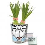 Happy plant Сафари Зебра