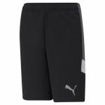 Active Sports Shorts DK B Puma Black