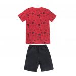 Пижама футболка+шорты 'Angry Birds' для мальчика р.28-38
