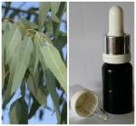 38 Эфирное масло Эвкалипт Eucalyptus Globulus, 10 мл