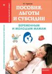 Юрий Чурилов: Пособия, льготы и субсидии беременным и молодым мамам