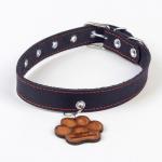 Ошейник кожаный однослойный