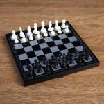 Игра настольная магнитная "Шахматы", чёрно-белые, в коробке, 24.5х24.5 см 2590516