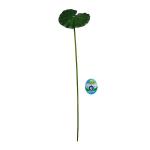 Растение водоплавающее Лист лотоса 20х90 см