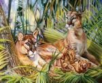 Семья пум с котятами в джунглях