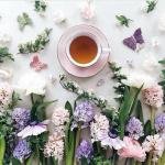 Чайшка чая, цветы и бабочки