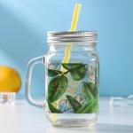 Банка с ручкой, крышкой и трубочкой Доляна «Растения», 450 мл, 10?7,5?13 см